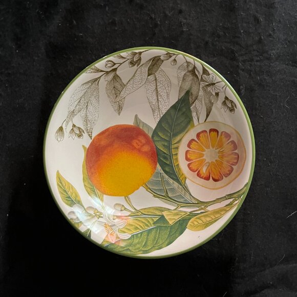 Vintage Discontinued Williams Sonoma Botanical Citrus Bowls/Plates - Picture 4 of 11
